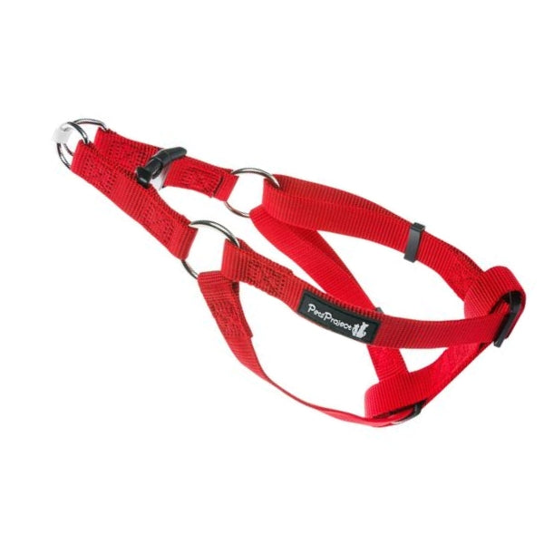 רתמה BASIC אדומה