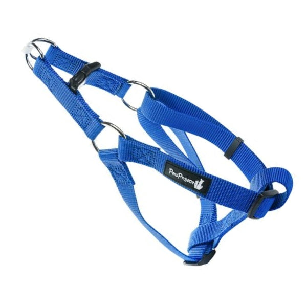 רתמה BASIC כחולה