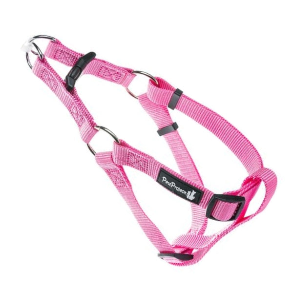 רתמה BASIC ורודה