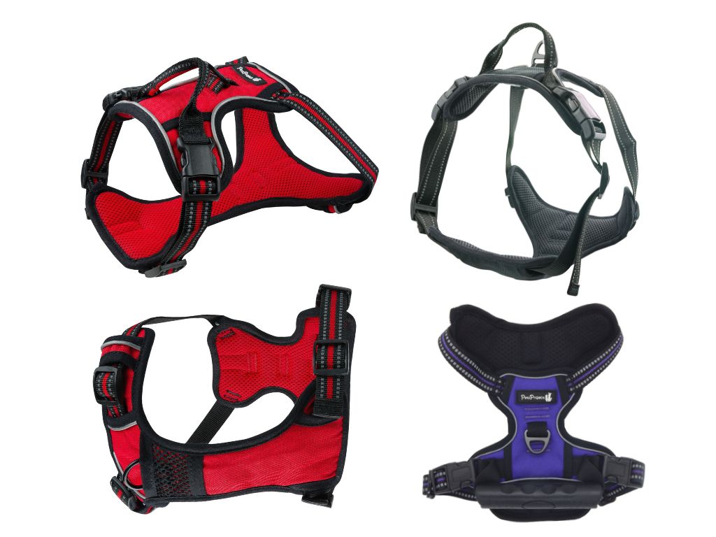 רתמה PERFECT פסים